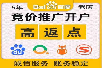 竞价排名在电商行业的实战案例